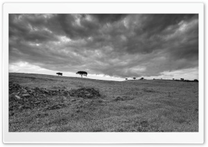 Storm Clouds, Landscape, Black and White Ultra HD Wallpaper for 4K UHD Widescreen desktop, tablet & smartphone