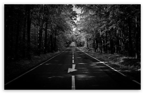 Straight Road Through the Woods UltraHD Wallpaper for UHD 16:9 ; HD 16:9 ; UltraWide 21:9 24:10 32:9 32:10 ; Widescreen 16:10 5:3 ; Fullscreen 4:3 5:4 3:2 ; Tablet 1:1 ; Mobile 9:16 9:19.5 9:20 9:21 9:22 10:16 2:3 3:5 3:4 ; Dual 16:10 5:3 16:9 4:3 5:4 3:2 ;