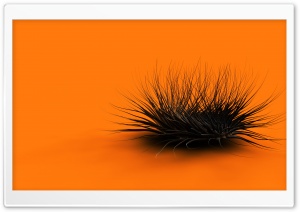 Strange Creature Orange Ultra HD Wallpaper for 4K UHD Widescreen desktop, tablet & smartphone