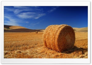 Straw Bale Autumn Ultra HD Wallpaper for 4K UHD Widescreen Desktop, Lockscreen, Screensaver, TV, Tablet, Smartphone