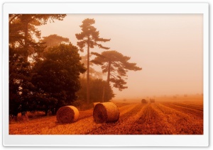 Straw Rolls, Orange Fog Ultra HD Wallpaper for 4K UHD Widescreen desktop, tablet & smartphone