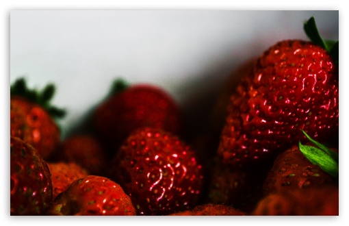 Strawberries UltraHD Wallpaper for UHD 16:9 ; HD 16:9 ; Widescreen 16:10 5:3 ; Fullscreen 3:2 ;