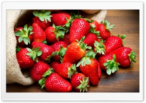 Strawberries Fruits Ultra HD Wallpaper for 4K UHD Widescreen desktop, tablet & smartphone