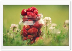 Strawberry Jar Ultra HD Wallpaper for 4K UHD Widescreen desktop, tablet & smartphone