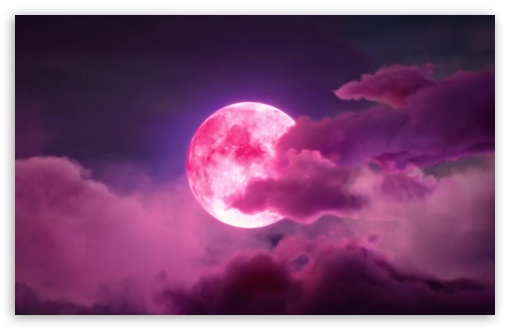 Strawberry Moon UltraHD Wallpaper for HD 16:9 ; Widescreen 16:10 5:3 ; Fullscreen 4:3 5:4 3:2 ; Tablet 1:1 ; Mobile 9:16 2:3 3:5 3:4 ;