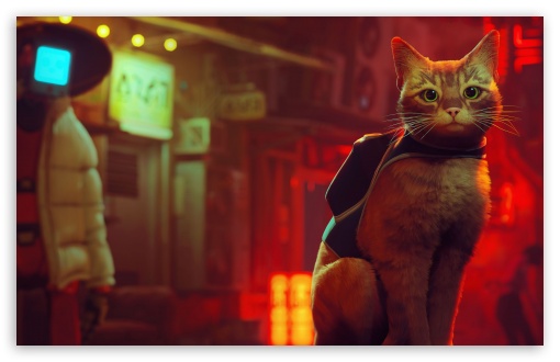 Stray Video Game UltraHD Wallpaper for UHD 16:9 ; HD 16:9 ; UltraWide 21:9 24:10 32:9 32:10 ; Widescreen 16:10 5:3 ; Fullscreen 4:3 5:4 3:2 ; Tablet 1:1 ; Mobile 9:16 9:19.5 9:20 10:16 2:3 3:5 3:4 ; Dual 16:10 5:3 16:9 4:3 5:4 3:2 ;