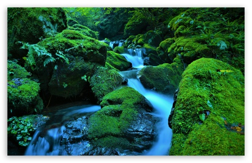 Stream Flowing through Mossy Rocks UltraHD Wallpaper for UHD 16:9 ; HD 16:9 ; UltraWide 21:9 24:10 32:9 32:10 ; Widescreen 16:10 5:3 ; Fullscreen 4:3 5:4 3:2 ; Tablet 1:1 ; Mobile 9:16 9:19.5 9:20 9:21 9:22 10:16 2:3 3:5 3:4 ; Dual 16:10 5:3 16:9 4:3 5:4 3:2 ;