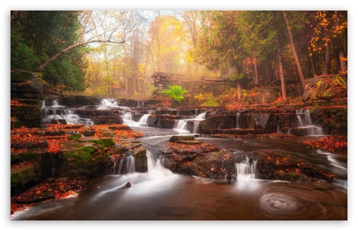 Streamfall in the Woodland, Autumn UltraHD Wallpaper for UHD 16:9 ; HD 16:9 ; UltraWide 21:9 24:10 32:9 32:10 ; Widescreen 16:10 5:3 ; Fullscreen 4:3 5:4 3:2 ; Tablet 1:1 ; Mobile 9:16 10:16 ; Dual 16:10 5:3 16:9 4:3 5:4 3:2 ;