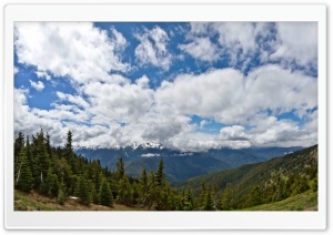 Stunning View, Olympic National Park, Washington, USA Ultra HD Wallpaper for 4K UHD Widescreen desktop, tablet & smartphone