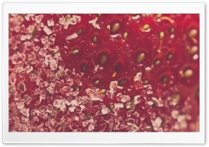Sugar Strawberry Ultra HD Wallpaper for 4K UHD Widescreen desktop, tablet & smartphone
