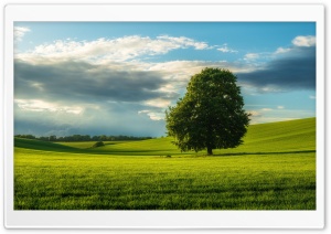 Summer Country Landscape Ultra HD Wallpaper for 4K UHD Widescreen desktop, tablet & smartphone