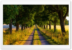 Summer Country Road, Trees, Landscape, Nature Photography Ultra HD Wallpaper for 4K UHD Widescreen desktop, tablet & smartphone