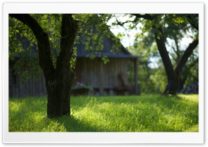 Summer Countryside Ultra HD Wallpaper for 4K UHD Widescreen desktop, tablet & smartphone