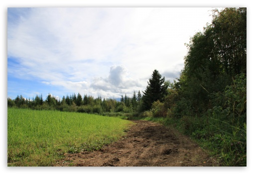 Summer day in Norway UltraHD Wallpaper for Fullscreen 3:2 ;