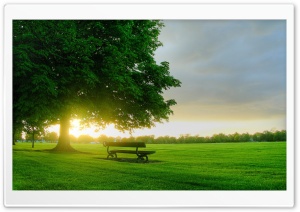 Summer Landscape Nature 7 Ultra HD Wallpaper for 4K UHD Widescreen desktop, tablet & smartphone