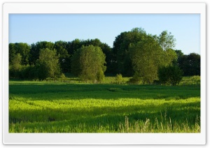 Summer Landscape Nature 9 Ultra HD Wallpaper for 4K UHD Widescreen desktop, tablet & smartphone