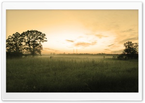 Summer Morning Mist Ultra HD Wallpaper for 4K UHD Widescreen desktop, tablet & smartphone