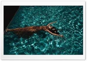 Summer Pool Party Ultra HD Wallpaper for 4K UHD Widescreen desktop, tablet & smartphone