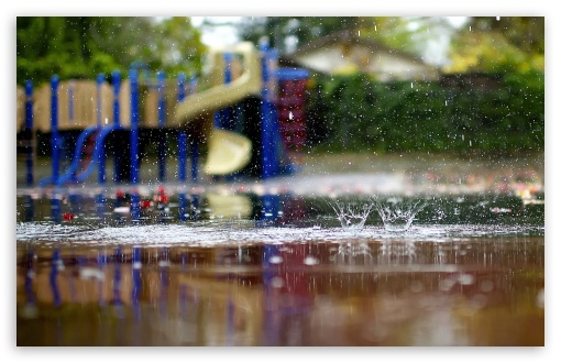 Summer Rain UltraHD Wallpaper for HD 16:9 ; Widescreen 16:10 5:3 ; Fullscreen 3:2 ;