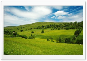 Summer Scenes 6 Ultra HD Wallpaper for 4K UHD Widescreen desktop, tablet & smartphone