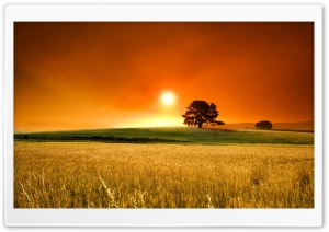 Summer Sunset Ultra HD Wallpaper for 4K UHD Widescreen desktop, tablet & smartphone