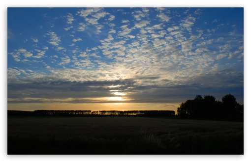 Summer Sunset in The Netherlands UltraHD Wallpaper for HD 16:9 ; Widescreen 16:10 5:3 ; Fullscreen 4:3 5:4 3:2 ; Tablet 1:1 ; Mobile 3:5 3:4 ;