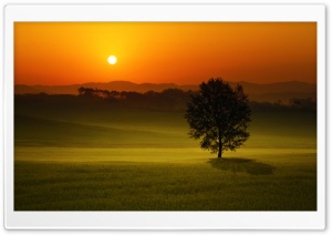 Summer Sunset Landscape Ultra HD Wallpaper for 4K UHD Widescreen desktop, tablet & smartphone