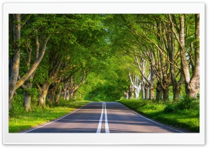 Summer, Travel, Road, Green Trees, Adventure 4K UHD Wallpaper for Widescreen and UltraWide Desktop, UltraHD TV, Smartphone, Tablet
