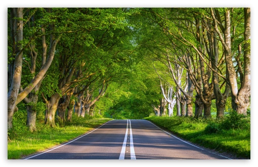 Summer, Travel, Road, Green Trees, Adventure UltraHD Wallpaper for UHD 16:9 ; HD 16:9 ; UltraWide 21:9 24:10 32:9 32:10 ; Widescreen 16:10 5:3 ; Fullscreen 4:3 5:4 3:2 ; Tablet 1:1 ; Mobile 9:16 9:19.5 9:20 9:21 9:22 10:16 2:3 3:5 3:4 ; Dual 16:10 5:3 16:9 4:3 5:4 3:2 ;
