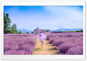Summertime Ultra HD Wallpaper for 4K UHD Widescreen desktop, tablet & smartphone
