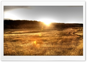 Sun Backlit Grain Ultra HD Wallpaper for 4K UHD Widescreen desktop, tablet & smartphone