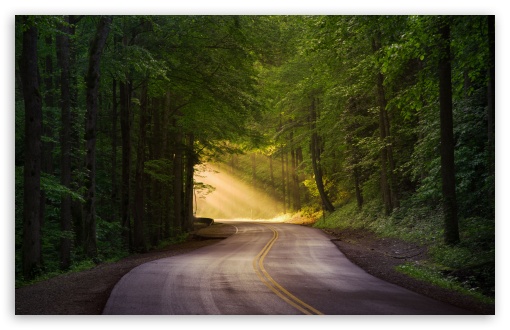 Sun Kissed Journey The Road Through Green Trees UltraHD Wallpaper for UHD 16:9 ; HD 16:9 ; UltraWide 21:9 24:10 32:9 32:10 ; Widescreen 16:10 5:3 ; Fullscreen 4:3 5:4 3:2 ; Tablet 1:1 ; Mobile 9:16 9:19.5 9:20 9:21 9:22 10:16 2:3 3:5 3:4 ; Dual 16:10 5:3 16:9 4:3 5:4 3:2 ;