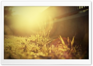Sun Light Ultra HD Wallpaper for 4K UHD Widescreen desktop, tablet & smartphone