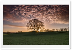 Sun Rays Shining through Trees Nature Landscape Ultra HD Wallpaper for 4K UHD Widescreen desktop, tablet & smartphone