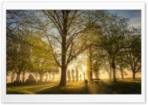 Sun Rays, Trees, Bench, Landscape Ultra HD Wallpaper for 4K UHD Widescreen desktop, tablet & smartphone