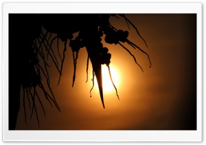 Sun Set Evening Ultra HD Wallpaper for 4K UHD Widescreen desktop, tablet & smartphone