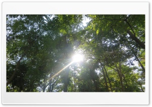 sun shines 4K UHD Wallpaper for Widescreen and UltraWide Desktop, UltraHD TV, Smartphone, Tablet