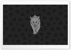 Sunderland AFC 4K UHD Wallpaper for Widescreen and UltraWide Desktop, UltraHD TV, Smartphone, Tablet