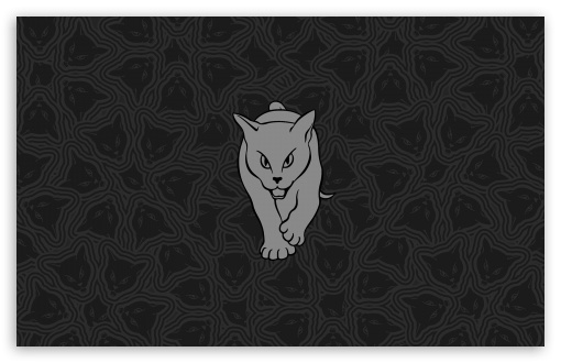 Sunderland AFC UltraHD Wallpaper for UHD 16:9 ; HD 16:9 ; Widescreen 16:10 ;