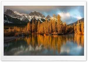 Sunlit Pine Trees by a Mountain Lake 4K UHD Wallpaper for Widescreen and UltraWide Desktop, UltraHD TV, Smartphone, Tablet