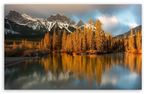 Sunlit Pine Trees by a Mountain Lake UltraHD Wallpaper for UHD 16:9 ; HD 16:9 ; UltraWide 21:9 24:10 32:9 32:10 ; Widescreen 16:10 ; Tablet 1:1 ; Mobile 9:16 9:20 9:21 9:22 ; Dual 16:10 16:9 ;