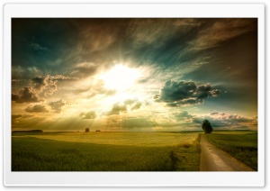 Sunny Afternoon Ultra HD Wallpaper for 4K UHD Widescreen desktop, tablet & smartphone