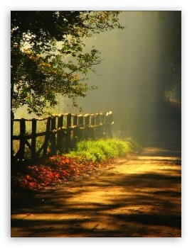 Sunny Autumn Day UltraHD Wallpaper for Mobile 3:4 ;