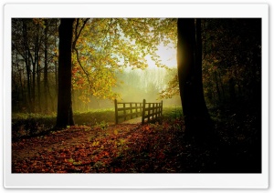 Sunny Fall Day Ultra HD Wallpaper for 4K UHD Widescreen desktop, tablet & smartphone