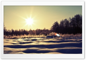 Sunny Snowy Day Ultra HD Wallpaper for 4K UHD Widescreen desktop, tablet & smartphone