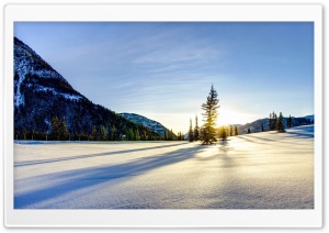 Sunny Winter Ultra HD Wallpaper for 4K UHD Widescreen desktop, tablet & smartphone