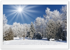 Sunny Winter Day Ultra HD Wallpaper for 4K UHD Widescreen desktop, tablet & smartphone