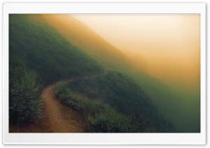Sunol Regional Wilderness - Foggy Day Ultra HD Wallpaper for 4K UHD Widescreen desktop, tablet & smartphone