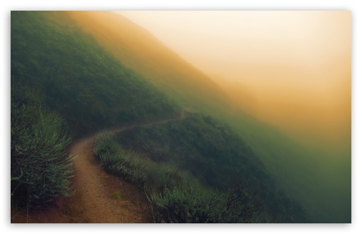 Sunol Regional Wilderness - Foggy Day UltraHD Wallpaper for HD 16:9 ; UltraWide 32:10 ; Widescreen 16:10 5:3 ; Fullscreen 4:3 5:4 3:2 ; Tablet 1:1 ; Mobile 3:5 3:4 ; Dual 16:10 5:3 16:9 4:3 5:4 ;