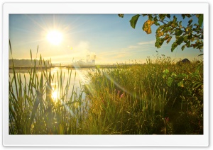 Sunrays Ultra HD Wallpaper for 4K UHD Widescreen desktop, tablet & smartphone